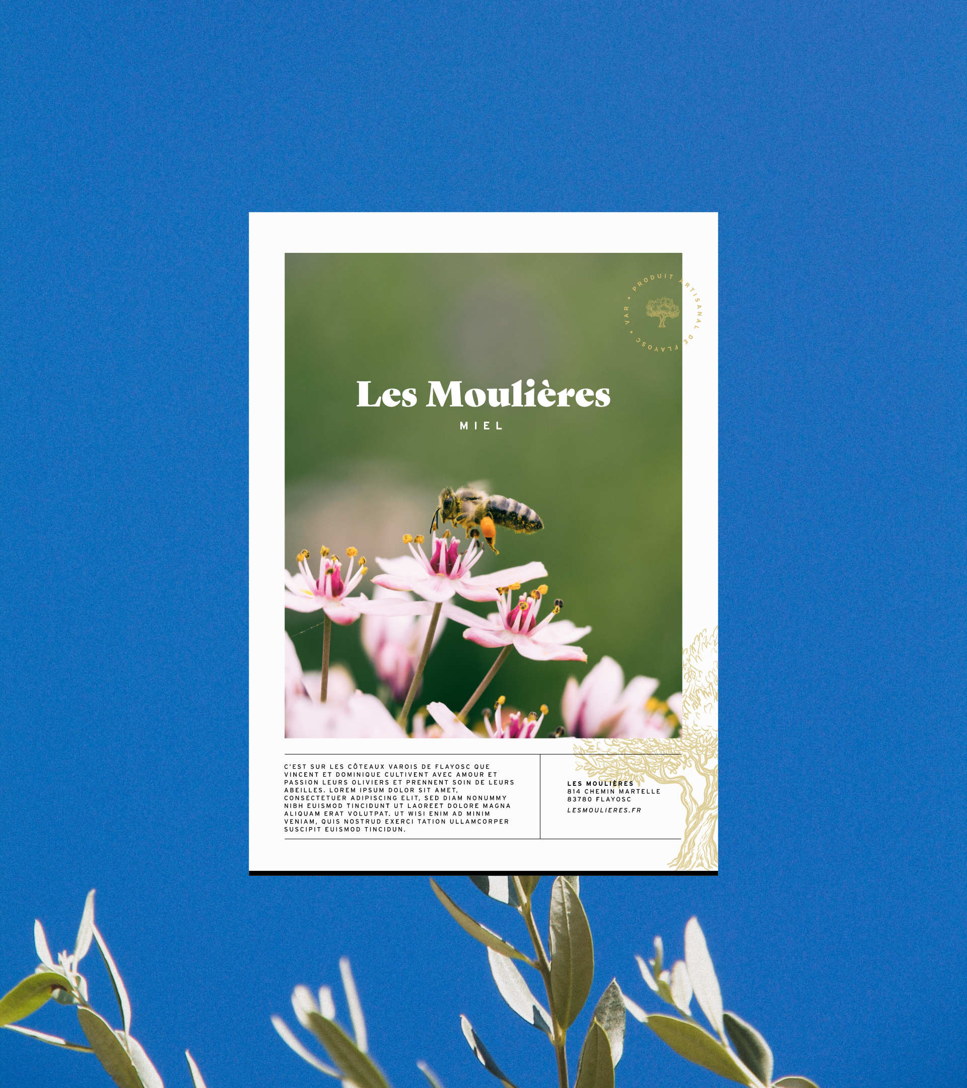 Groupe 6491@2x Les Moulières flyer