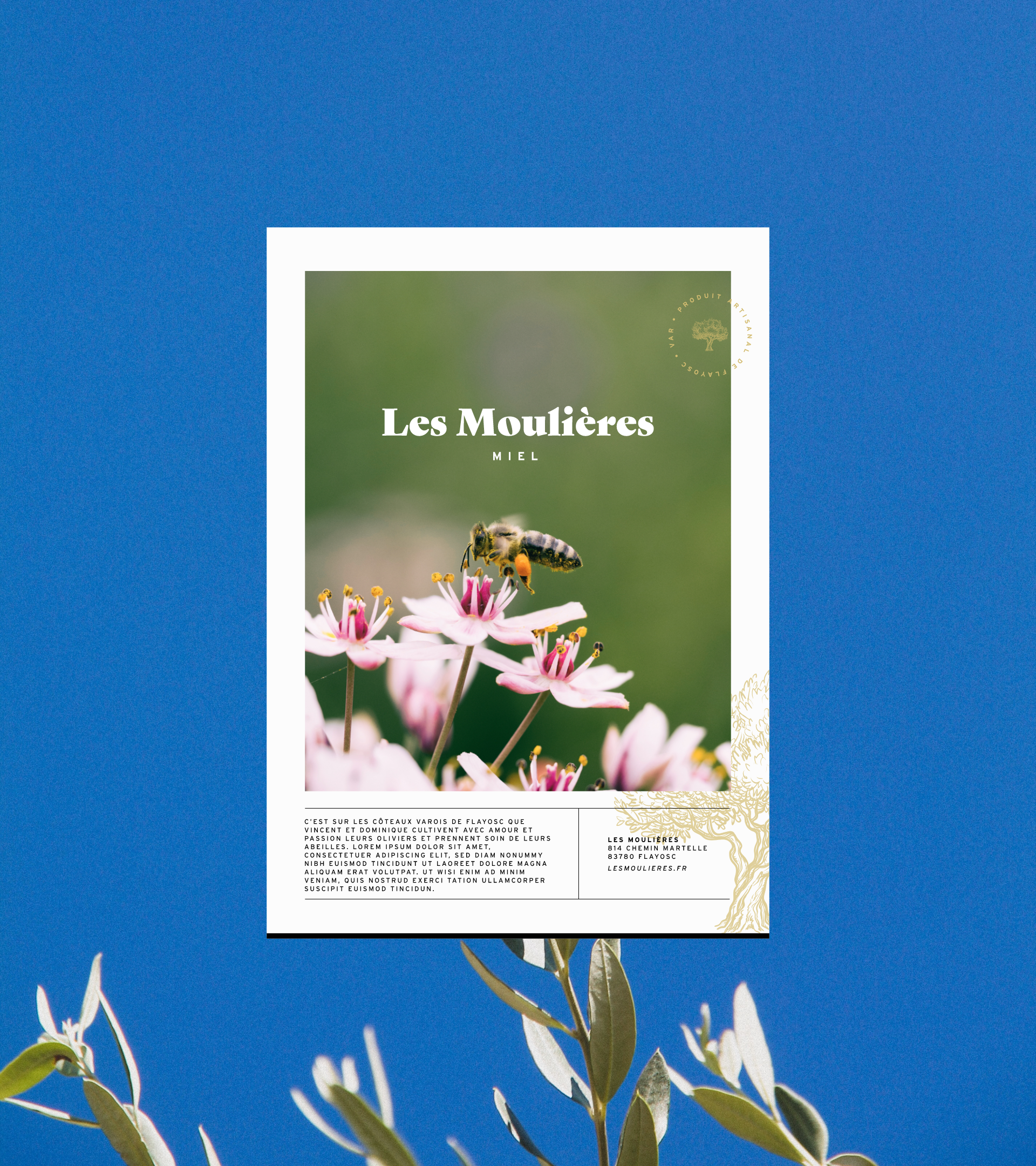 Les Moulières flyer